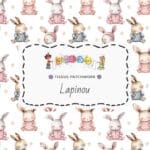 Tissu Lapinou by QuiltNCo
